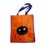 安顺KB05 覆膜无纺布袋（可定制）